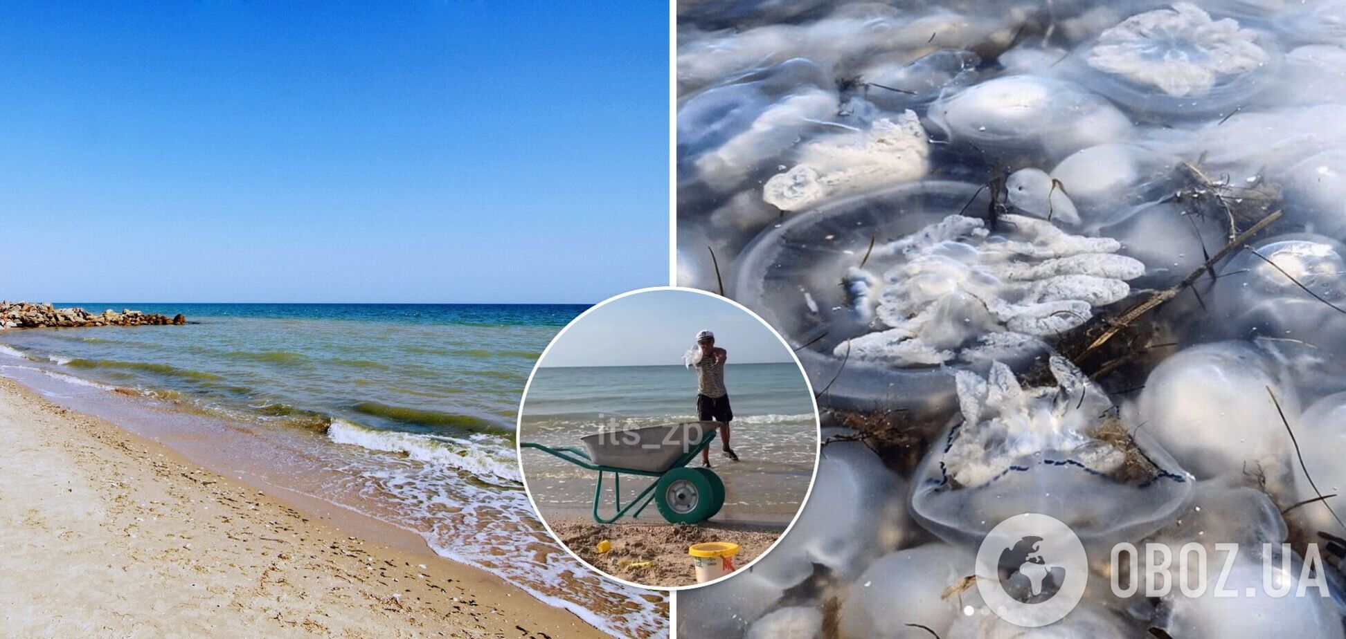 Медуз столько, что их вывозят тачками: туристы показали видео с курорта на Азовском море