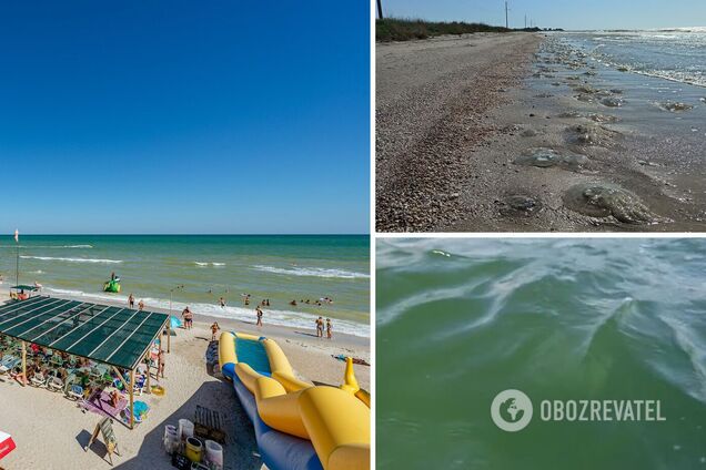Вода зеленого кольору, багато медуз: туристи розповіли про відпочинок у Кирилівці та показали відео
