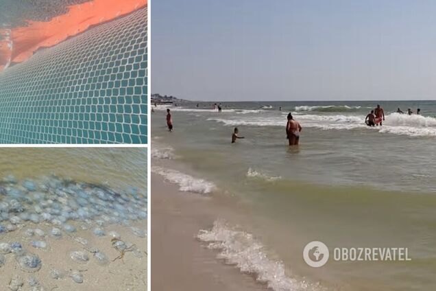 На Азовском побережье планируют установить барьерные сетки против медуз