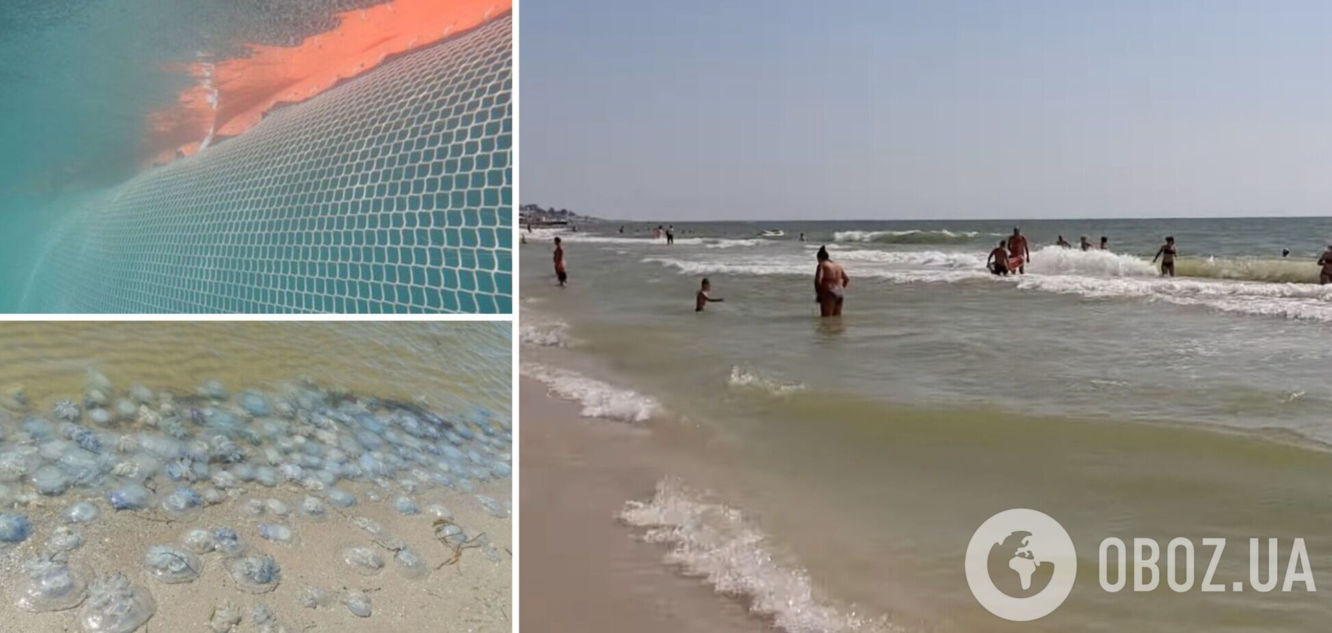 На Азовском побережье планируют установить барьерные сетки против медуз
