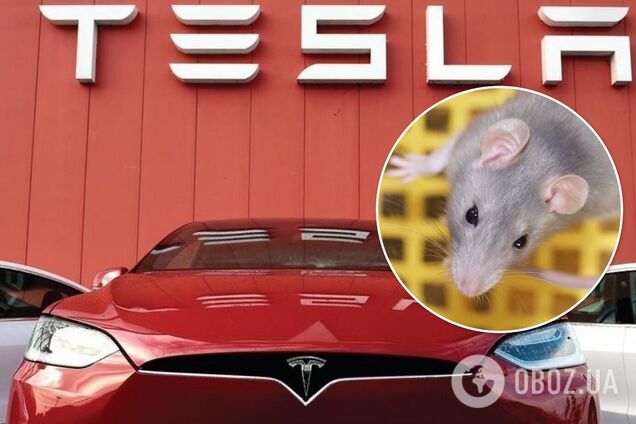 Компания отказывается возмещать ущерб