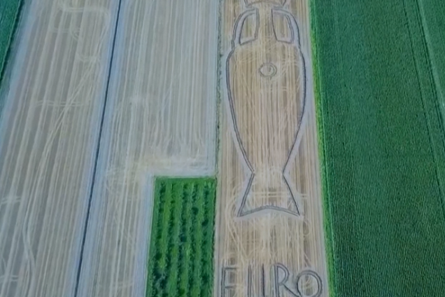 Художник перетворив поле на гігантський кубок Євро-2020