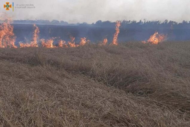 Під Одесою згоріло поле