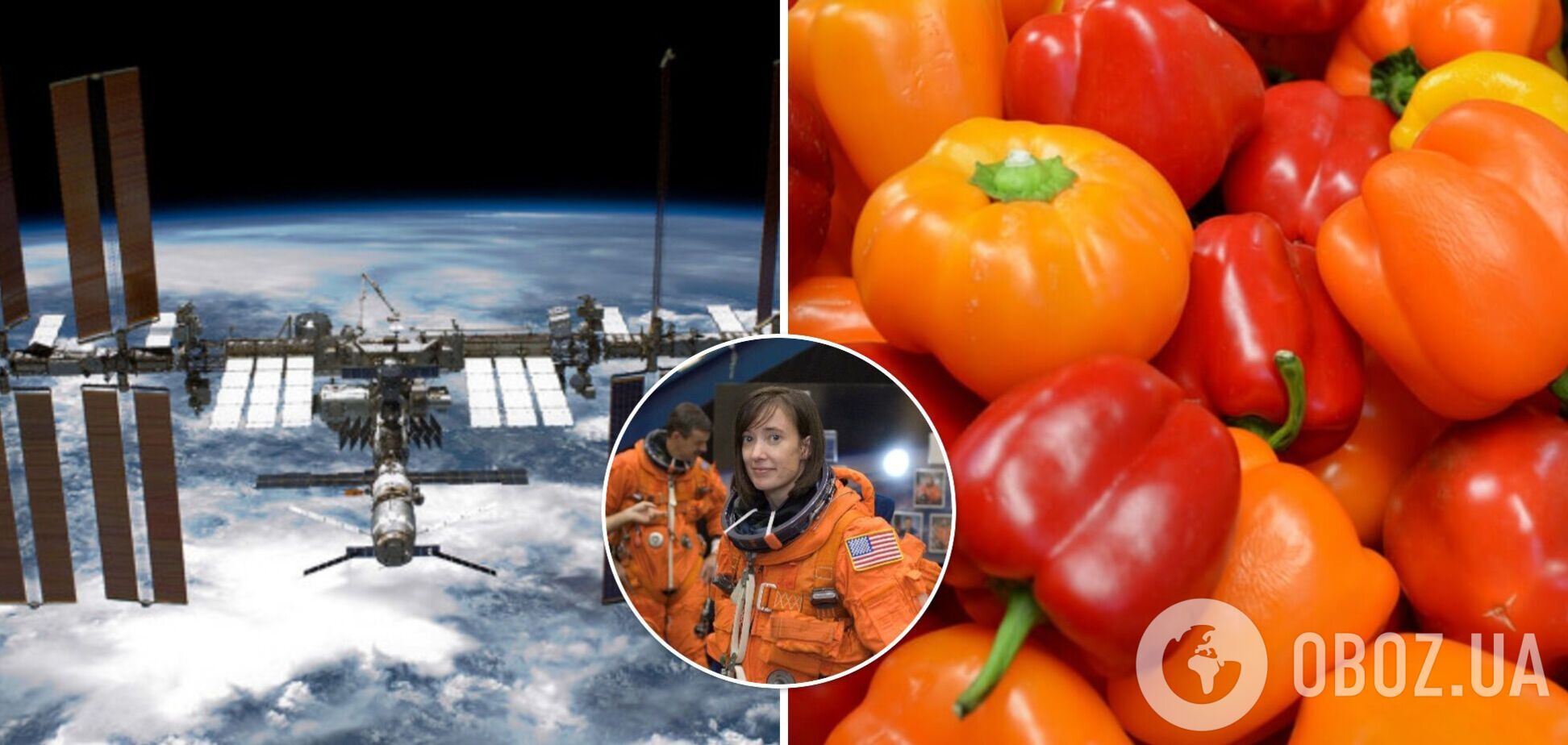 Астронавты в космосе начали выращивать сладкий перец