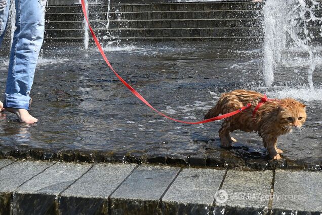 Коротке похолодання та нова хвиля спеки: синоптики дали прогноз до кінця липня