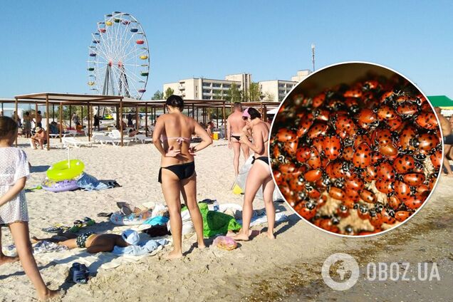 Морські курорти в Україні заполонили сонечка: туристи скаржаться на зіпсований відпочинок