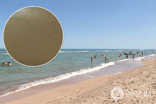 Медузы и блохи дрейфуют по волнам: турист показал, что изменилось в Кирилловке после шторма