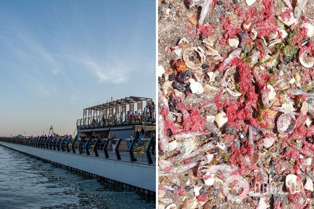 Пляж Азовского моря покрыла краска