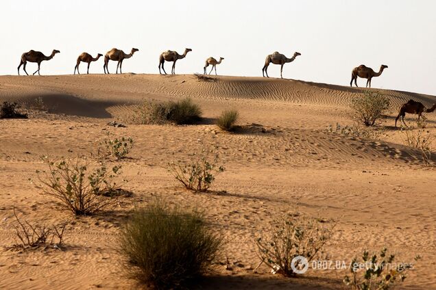 В ОАЭ в 50-градусную жару искусственно вызвали дождь, пустыню затопило. Видео