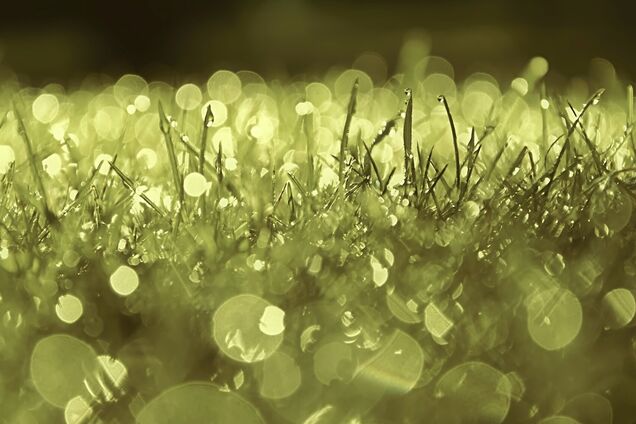 19 июля: праздник, приметы на Сысоев день и именинники