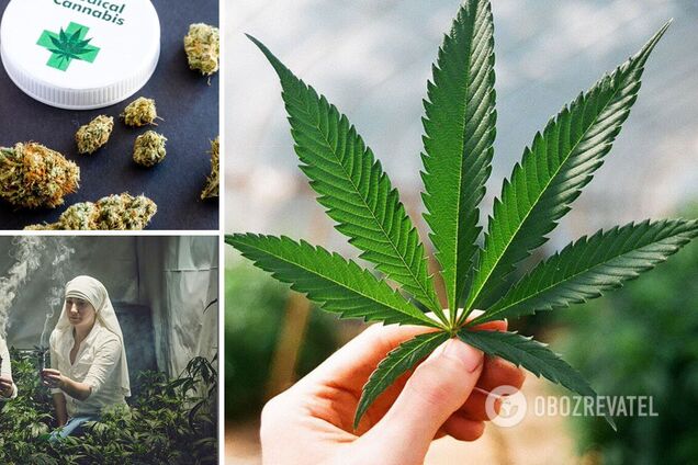 Нардепи не зібрали достатньо голосів для законопроєкту про легалізацію канабісу