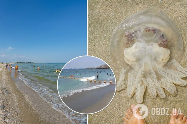 На Азовському морі придумали, як боротися з надокучливими медузами. Фото