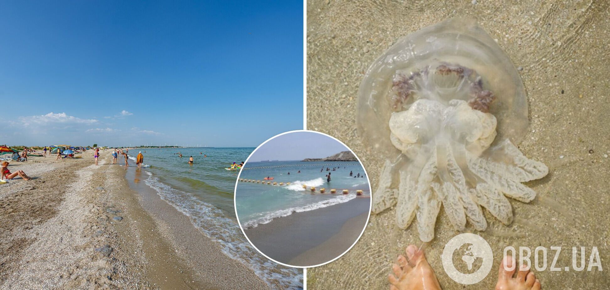 На Азовском море придумали, как бороться с надоедливыми медузами. Фото