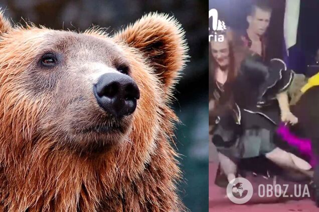 В России медведь трижды напал на дрессировщиков в цирке, но они продолжили выступление. Видео