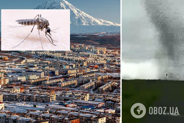 В России пронесся огромный смерч из комаров: очевидцы показали видео