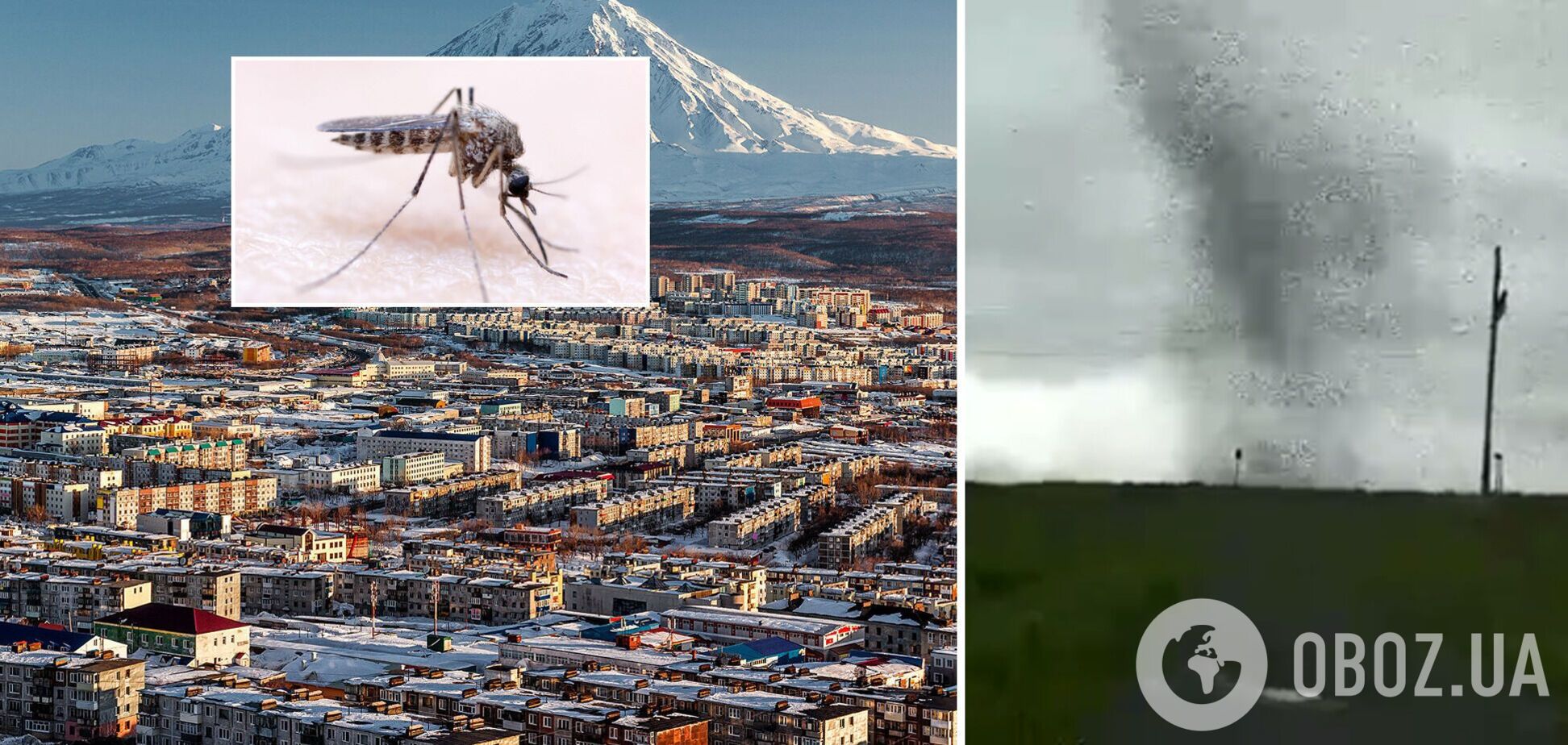 У Росії пронісся величезний смерч із комарів: очевидці показали відео