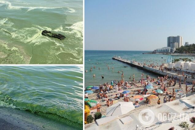 На популярному пляжі в Одесі позеленіло море: в чому небезпека. Відео