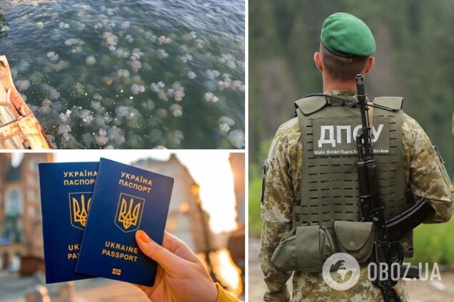 Новости Украины: на курортах нашествие комаров и медуз, а на границе с РФ СБУшники избили пограничников