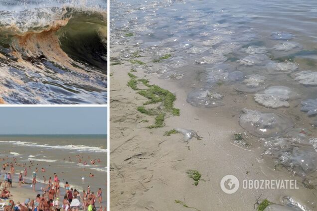 В Кирилловке грязное море, сотни медуз и толпы туристов