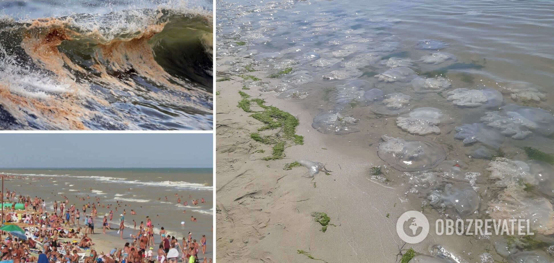 В Кирилловке грязное море, сотни медуз и толпы туристов