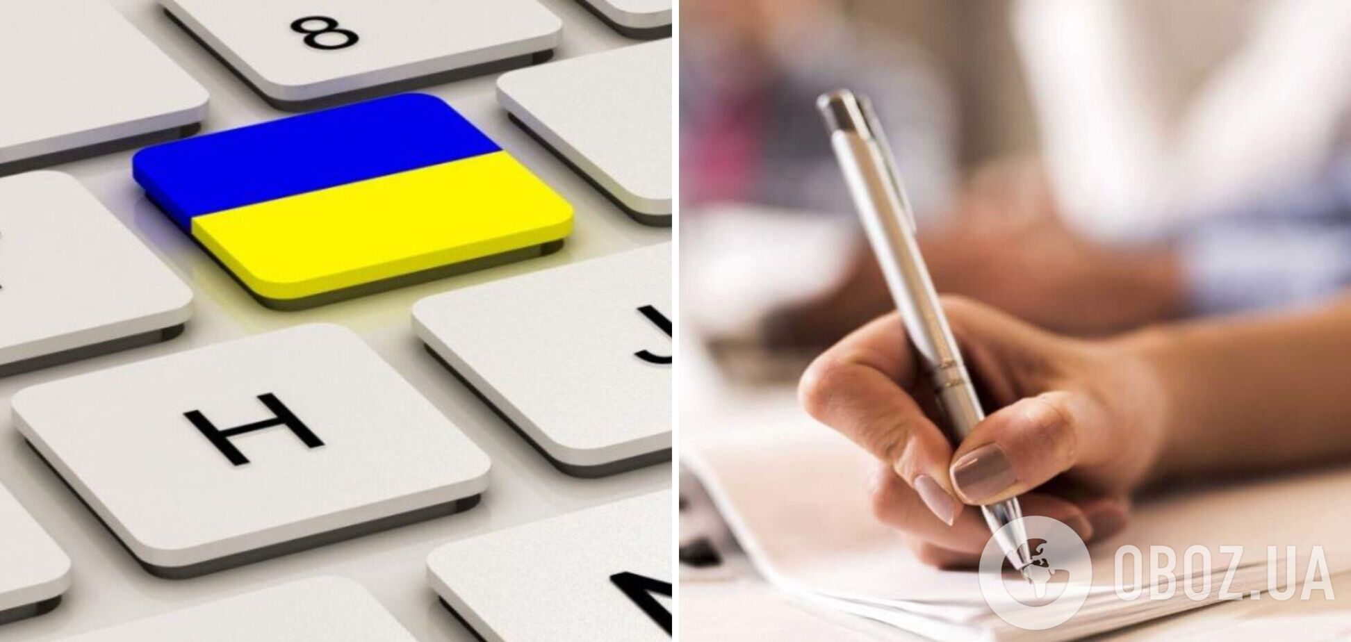 Сбой системы и 'детские' задачи: в Украине тестирование чиновников на знание языка началось с конфуза