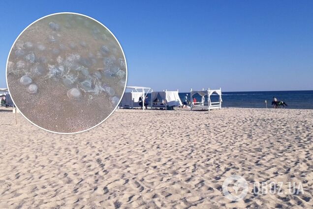 Побережье превратилось в кашу из медуз, купаться невозможно: свежие видео из Кирилловки и Лазурного