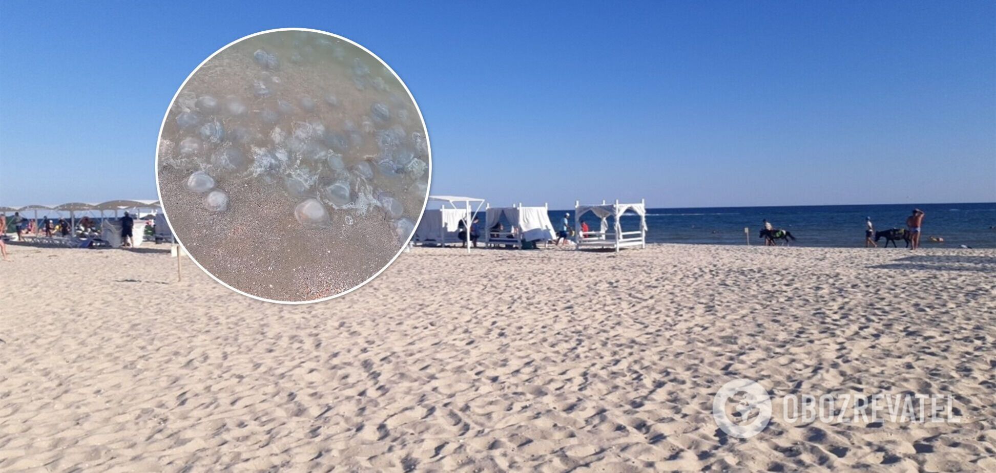 Узбережжя перетворилося на кашу з медуз, купатися неможливо: свіжі відео з Кирилівки і Лазурного