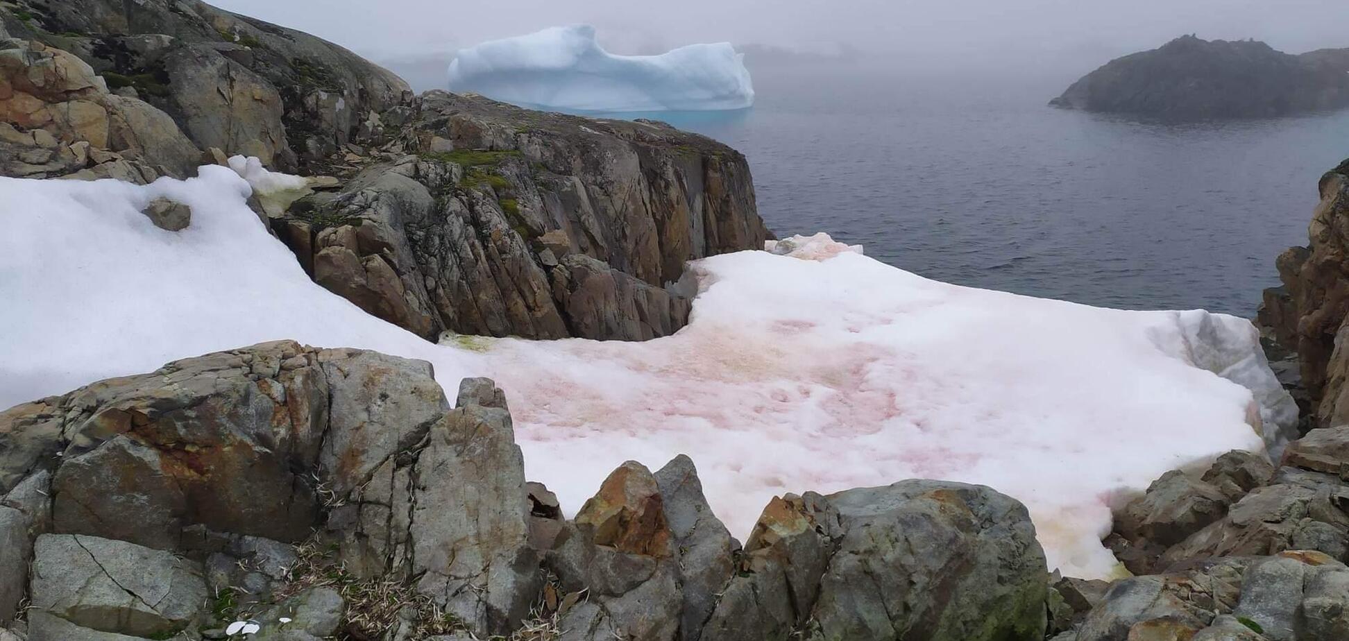 В Антарктиді потепліло до +18