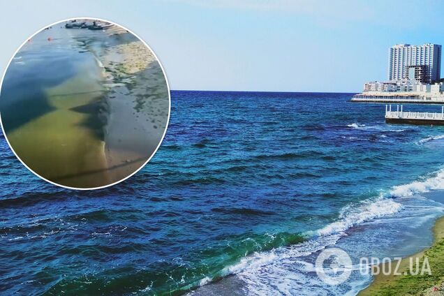 Никто не купается, стоит страшная вонь: турист пожаловался на отдых в Одессе. Видео