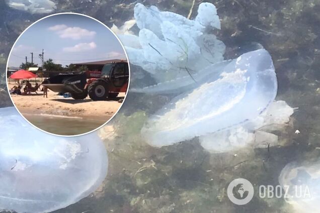 На популярном курорте Азовского моря медуз увозят экскаватором. Видео