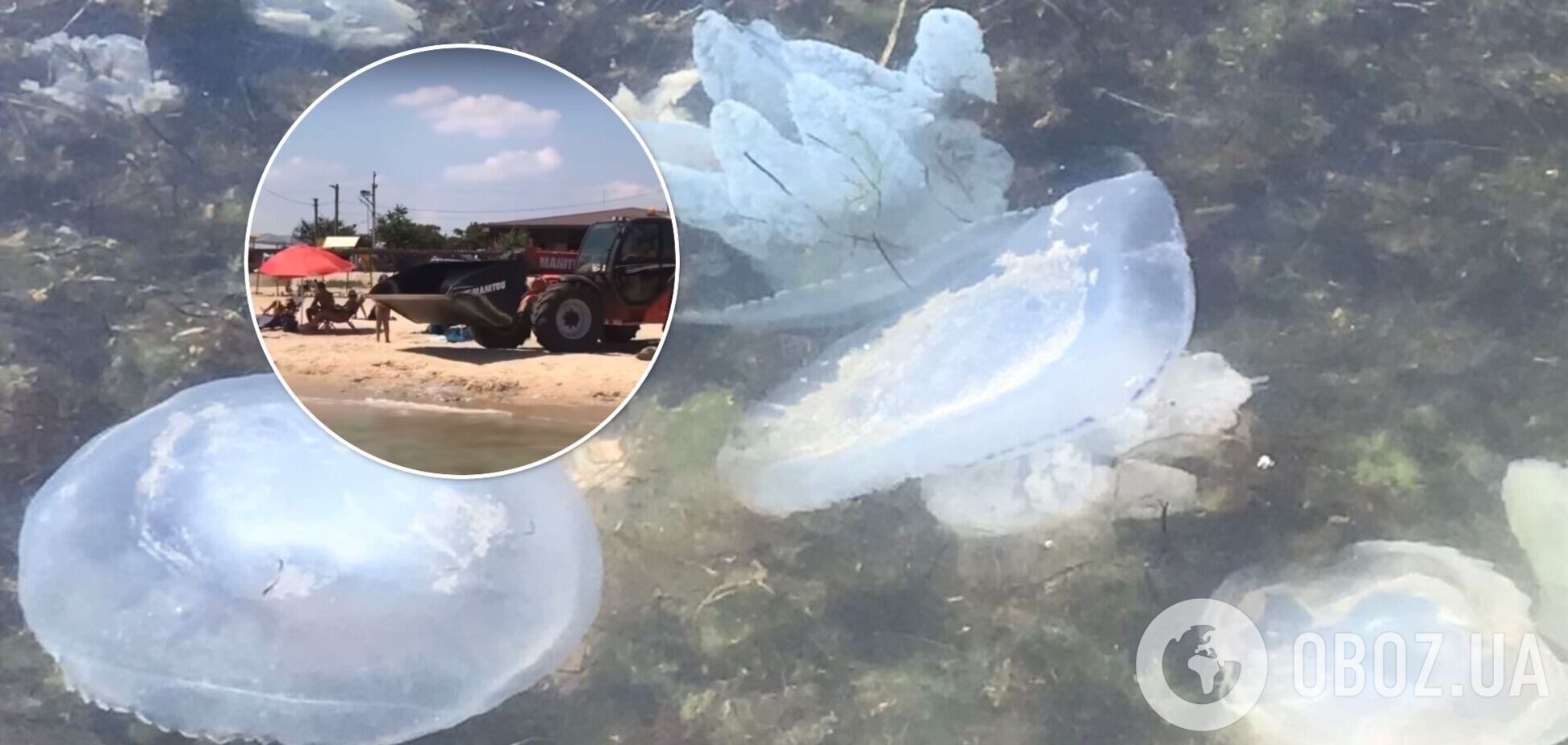 На популярному курорті Азовського моря медуз відвозять екскаватором. Відео