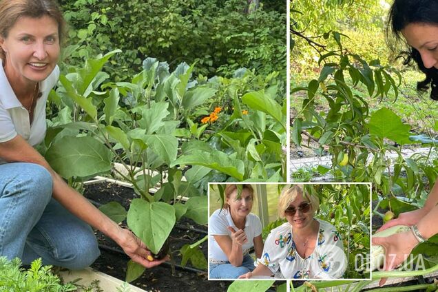 Марина Порошенко показала огород и поделилась секретом, как спасает урожай от вредителей. Фото