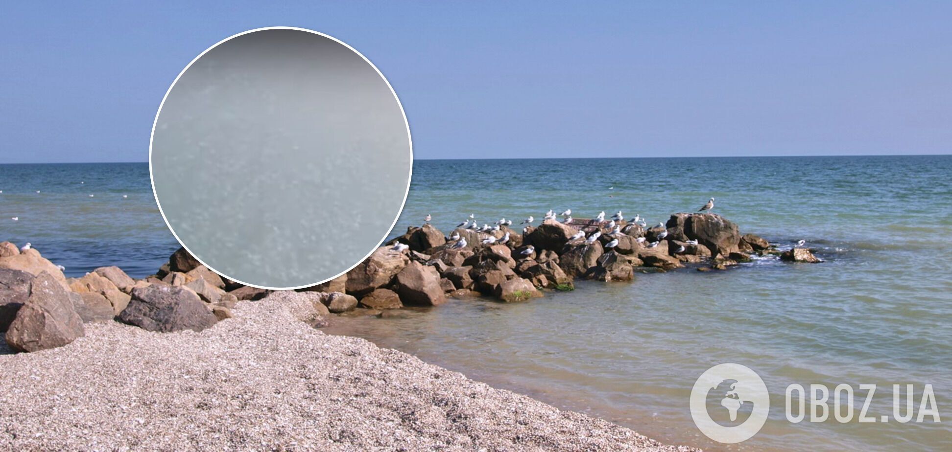 Полчища медуз оккупировали курорт на Азовском море. Видео