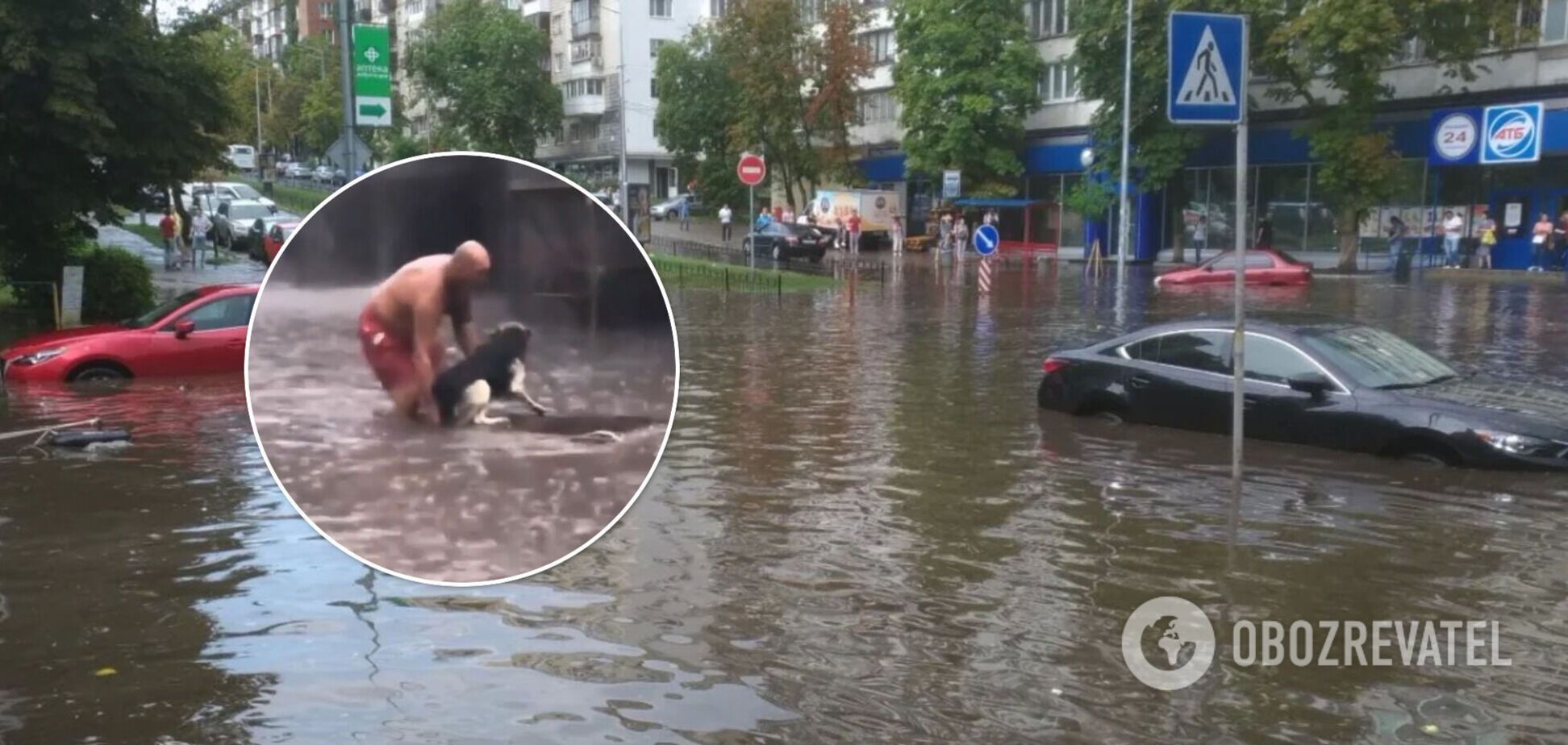 Тварина живе на будівництві та допомагає охоронцям