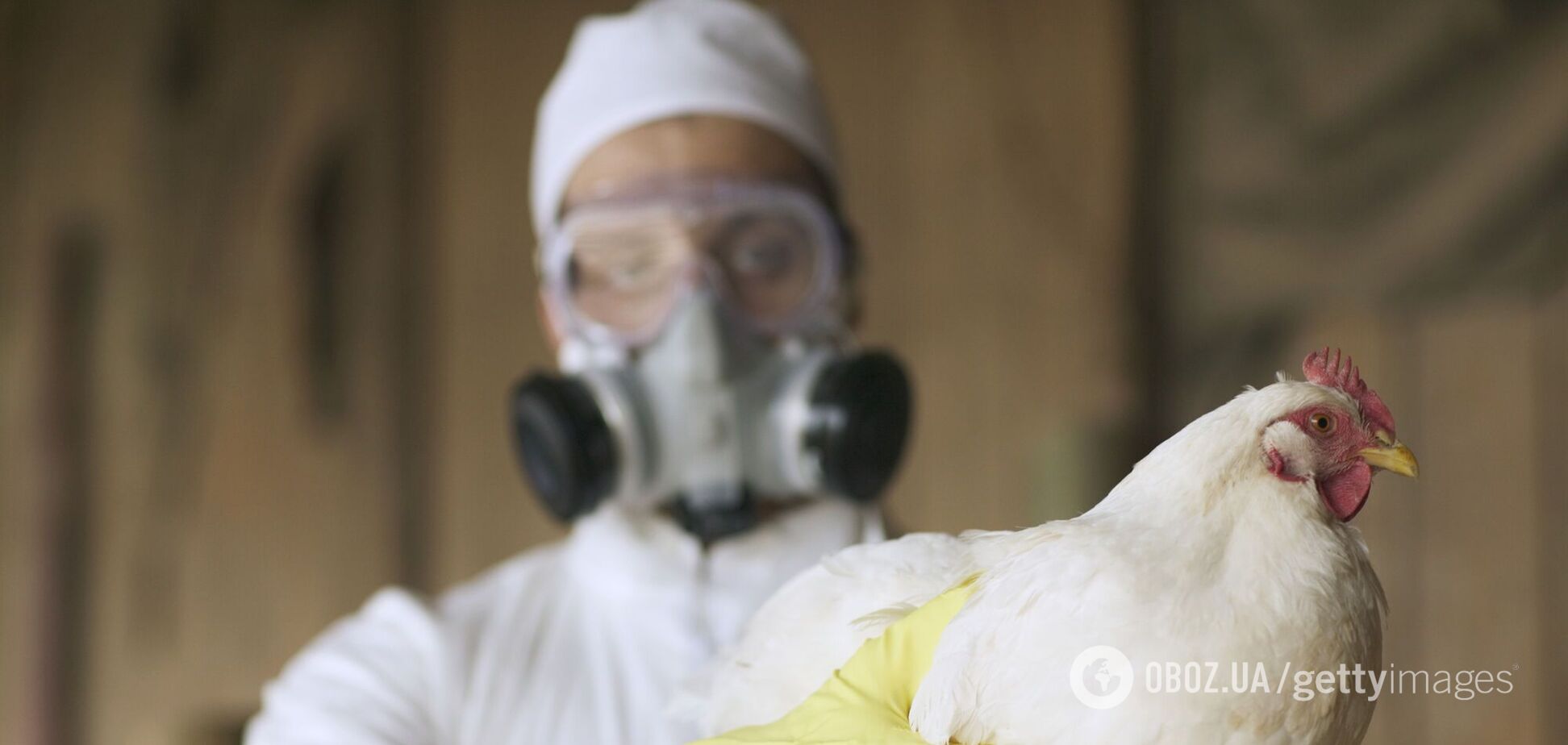 В Индии мальчик умер от птичьего гриппа