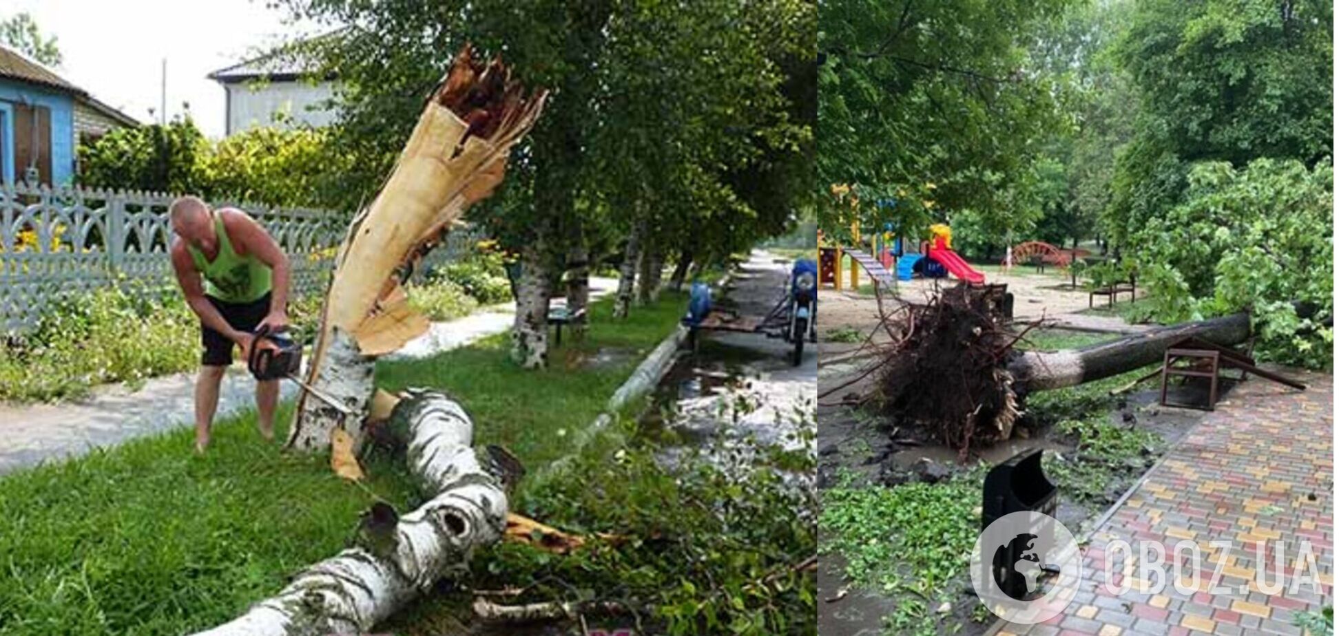 Всего повалено 90 деревьев