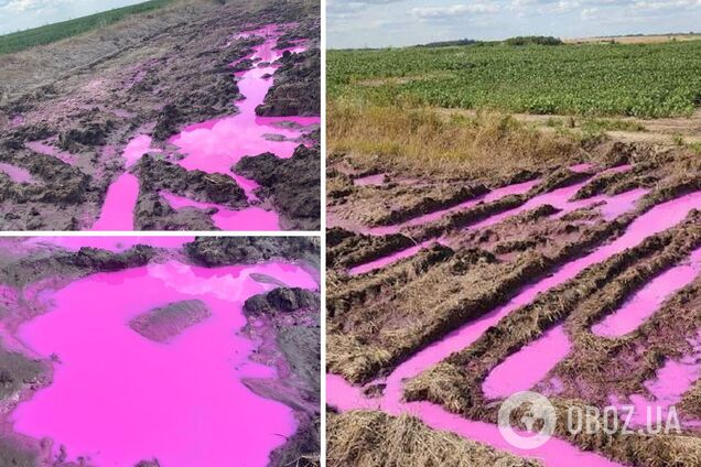 После взрыва на химзаводе вблизи Ривне появились загадочные ярко-розовые лужи: ГСЧС узнала, вредна ли жидкость. Фото и видео