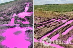 После взрыва на химзаводе вблизи Ривне появились загадочные ярко-розовые лужи: ГСЧС узнала, вредна ли жидкость. Фото и видео