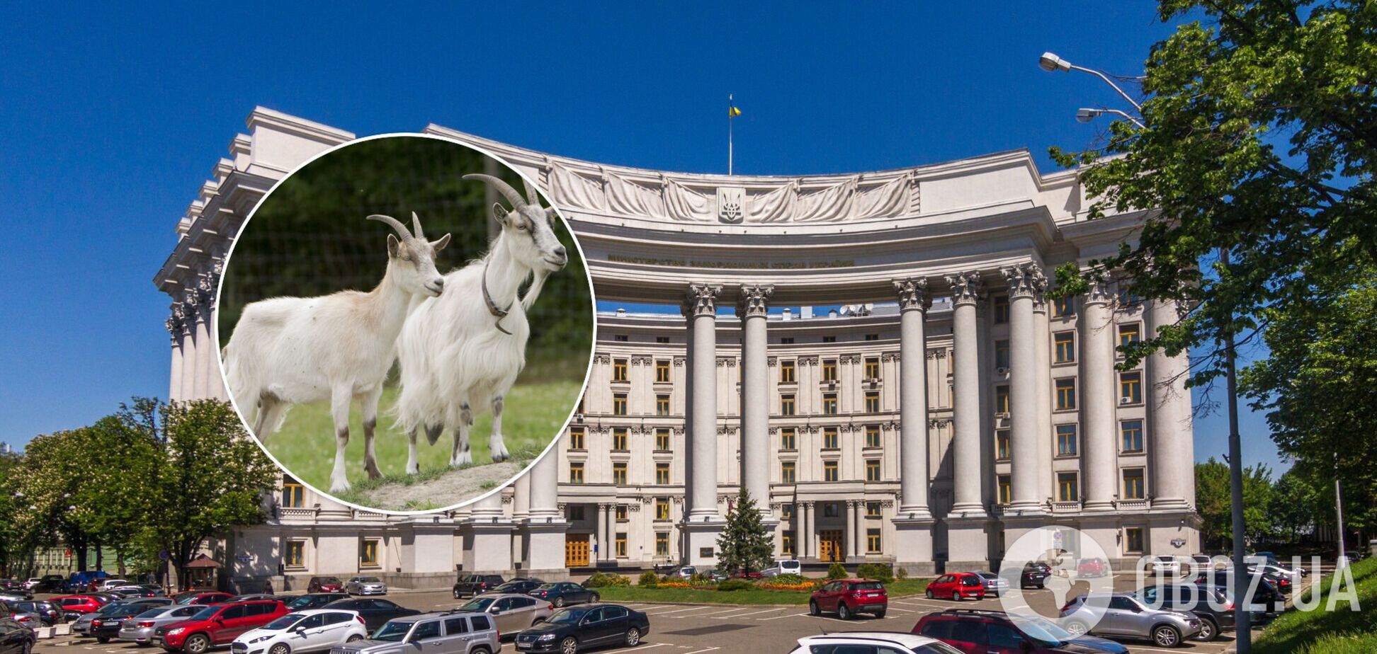 У центрі Києва біля будівлі МЗС паслися кози. Фото