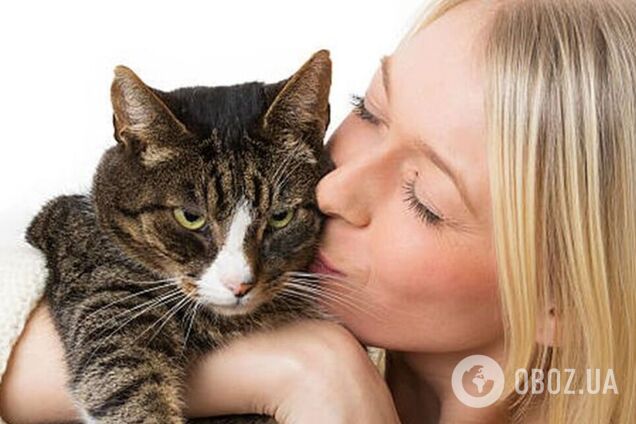 Хозяева поцеловали животных