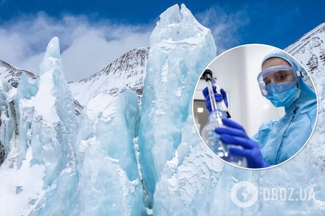 Ученые нашли в тибетском леднике неизвестные науке вирусы: они способны выжить в экстремальных условиях