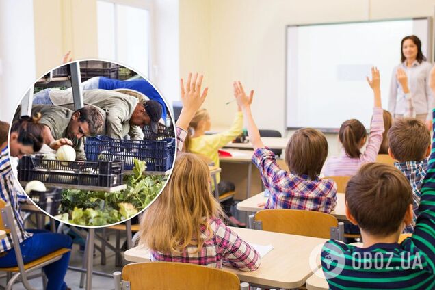 Скільки заробляють вчителі на заробітках