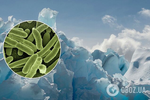 Ученые нашли место на Земле, где нет ни одного микроба