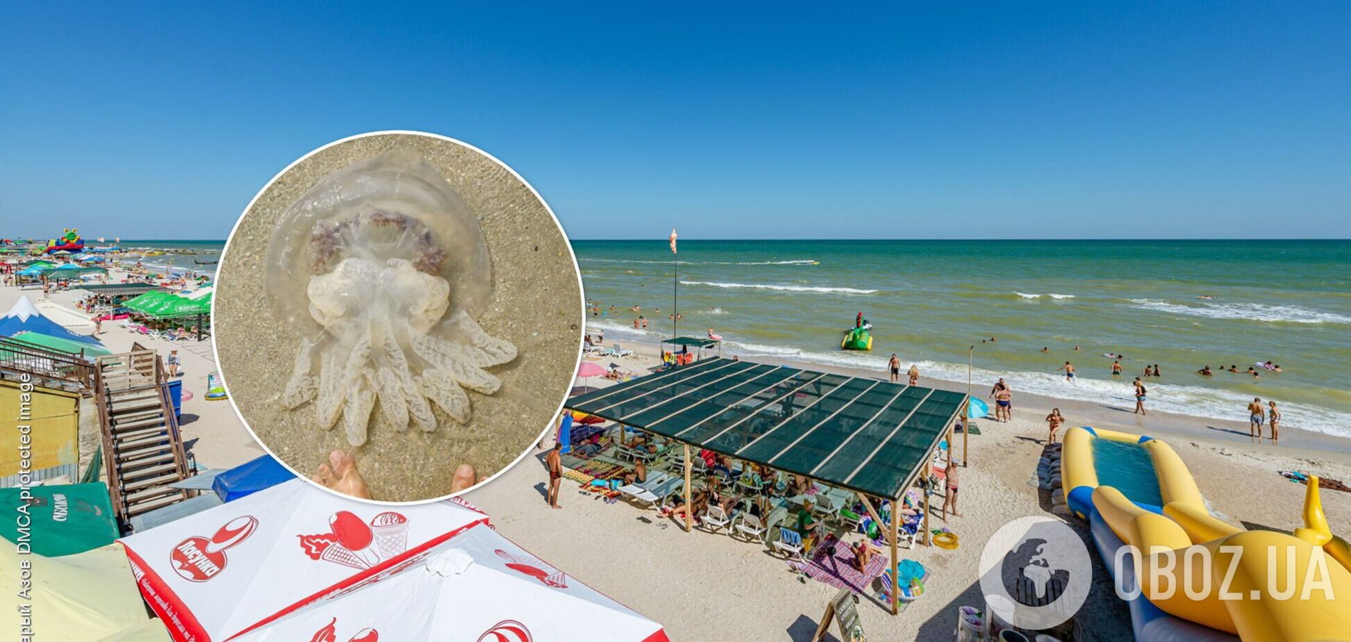 Медузы и блохи пропали? Украинцы показали на видео, как сейчас выглядит Кирилловка