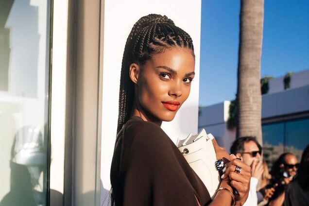 Модель Тина Кунаки