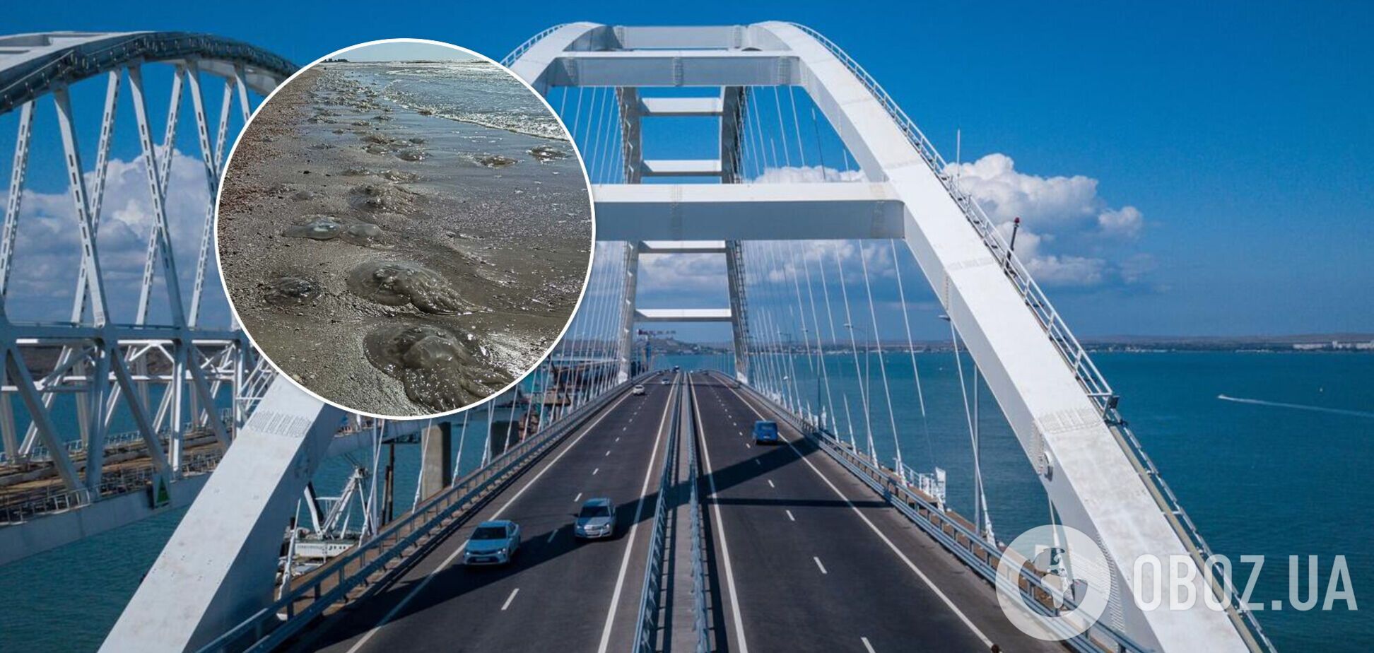Турист обвинил Крымский мост в нашествии медуз на Азовском море. Видео