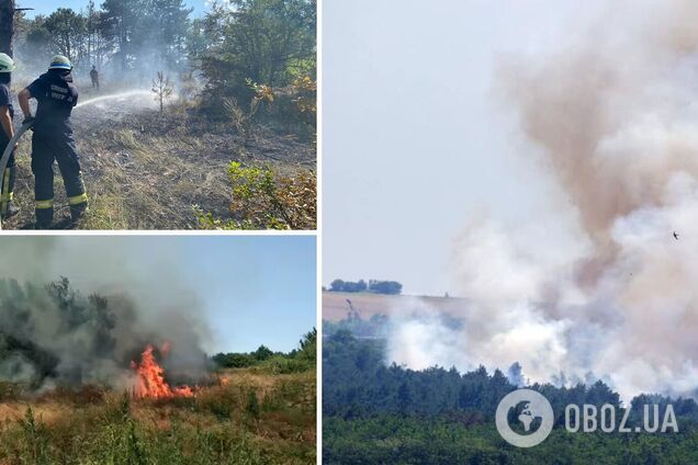 На Хортице произошел масштабный пожар, подозревают поджег. Фото и видео