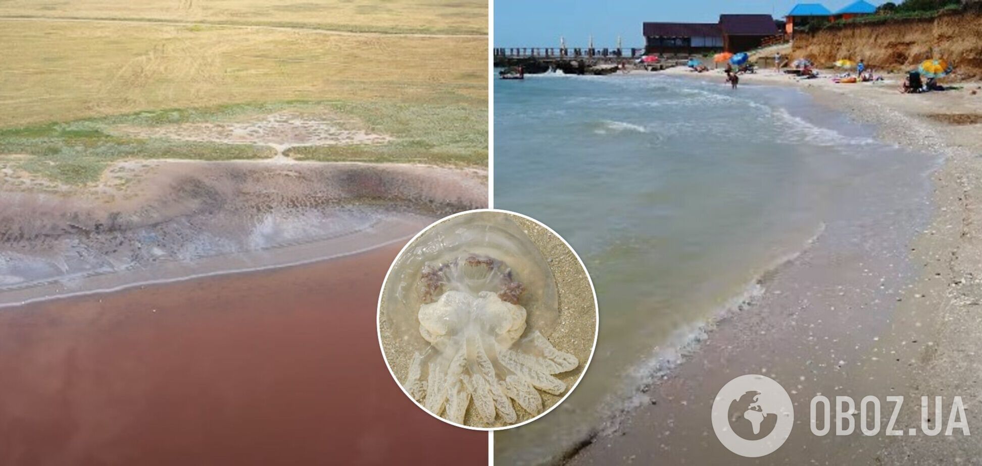 На популярных курортах Азова исчезли медузы. Видео