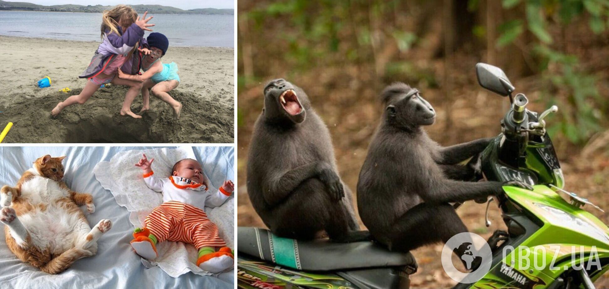 Кумедні фото розлетілися мережею