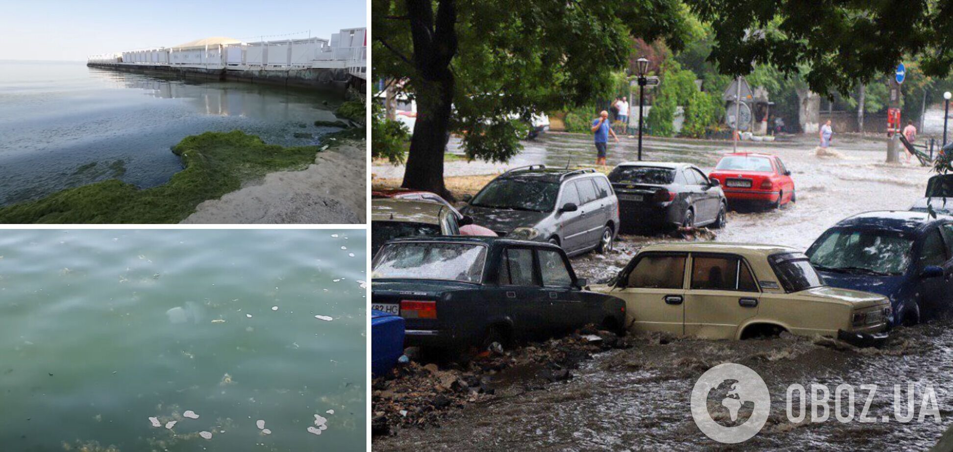 Море в Одессе превратилось в помои